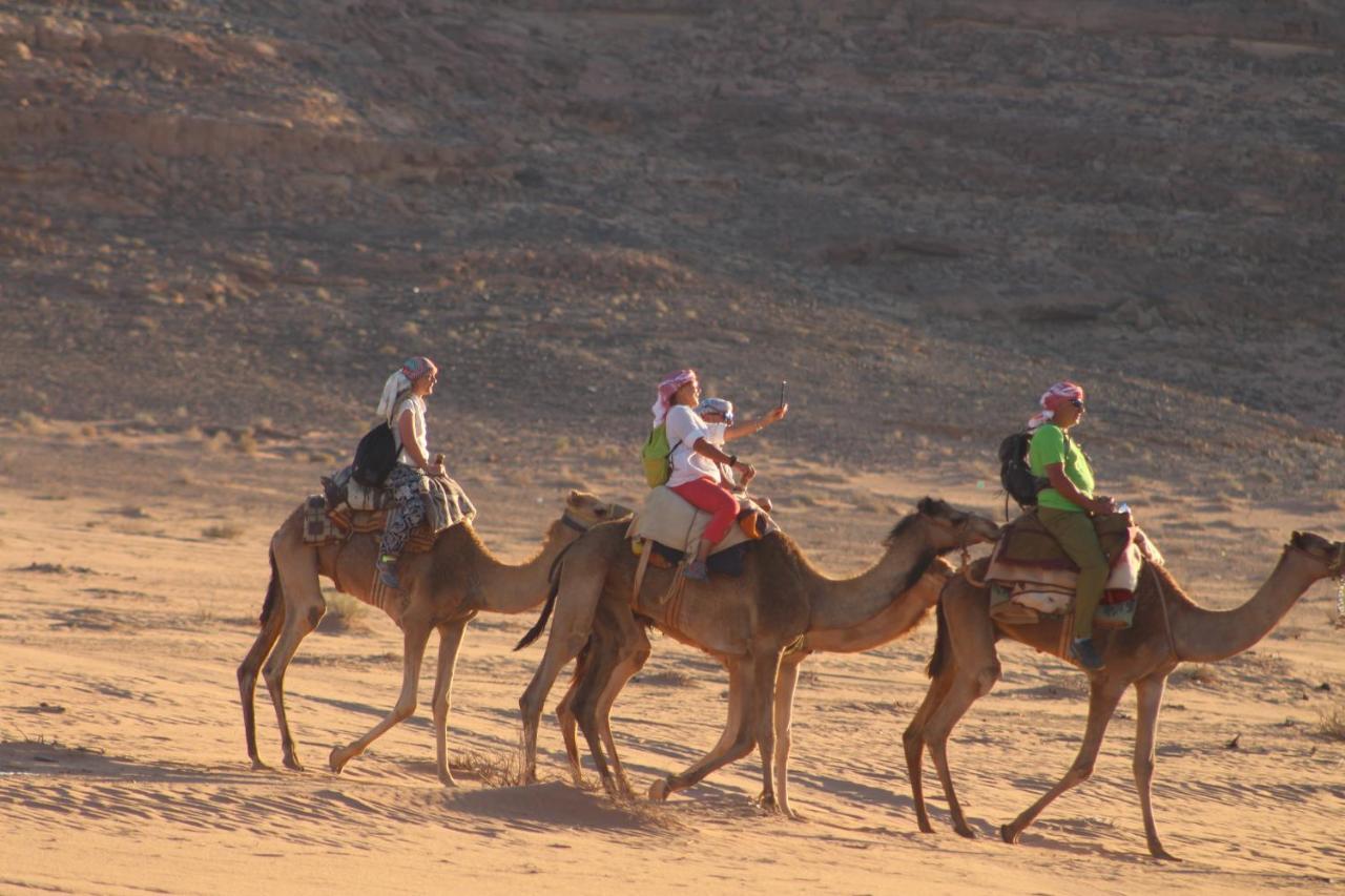 King desert Hotell Wadi Rum Eksteriør bilde